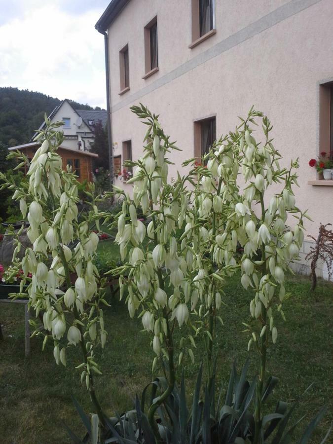 Ferienwohnung Buechsenhof Prossen Exteriér fotografie